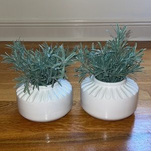 Set of glass flower vases